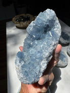 Celestite Cluster Baltic Mermaid