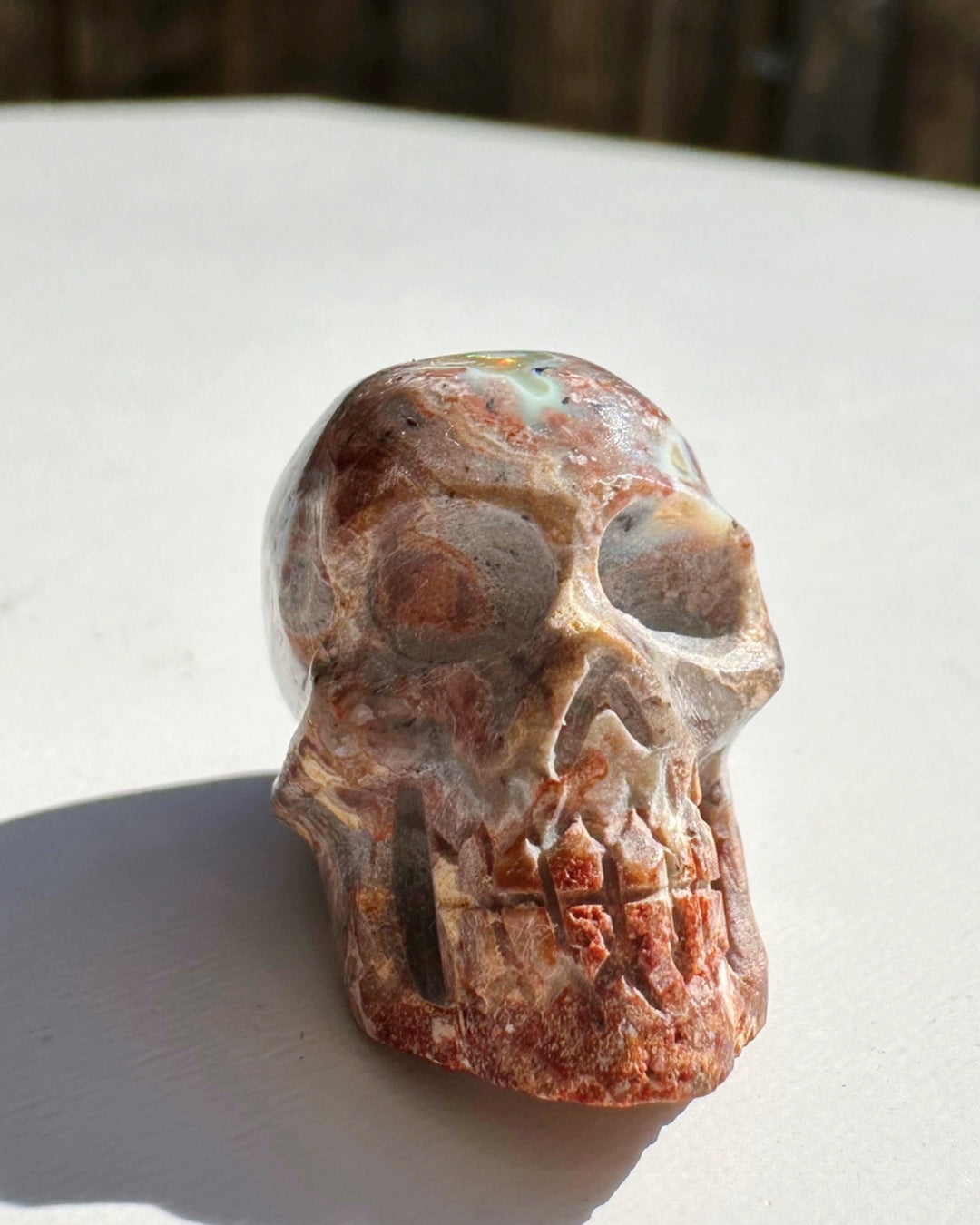 Cantera Opal Skull - Baltic Mermaid