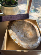 Large Petrified Wood Bowl Baltic Mermaid