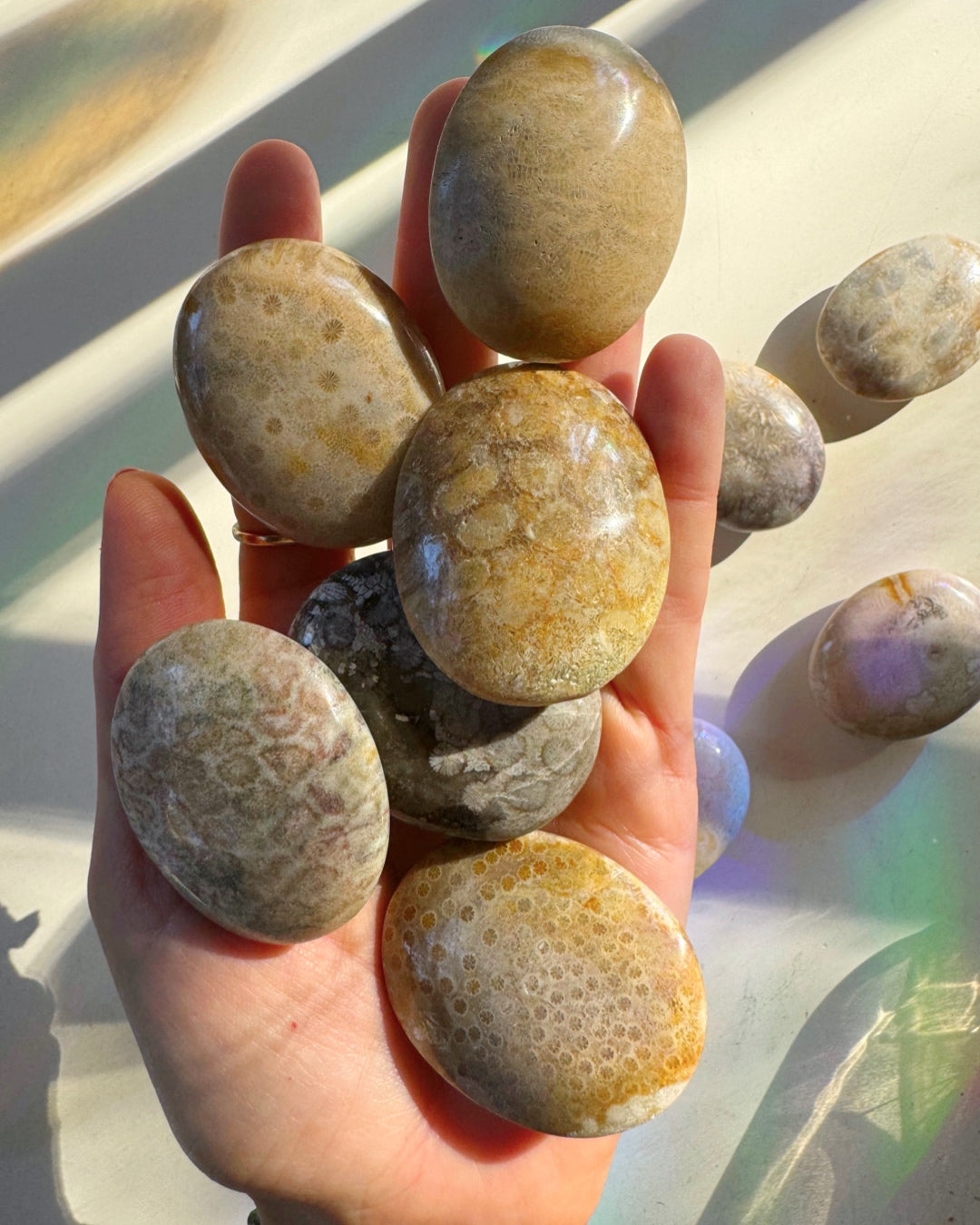 Fossil Coral Agate Palm Stones