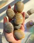 Fossil Coral Agate Palm Stones