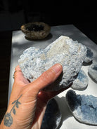Celestite Cluster Baltic Mermaid