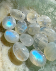 Rainbow Moonstone Polished Stones - AAA