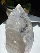 Large Double Terminated Quartz Point w/ Inclusions from Brazil Baltic Mermaid