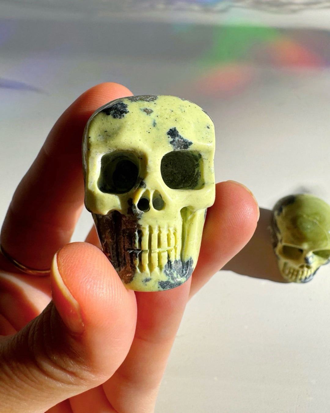 Serpentine Skull - Baltic Mermaid