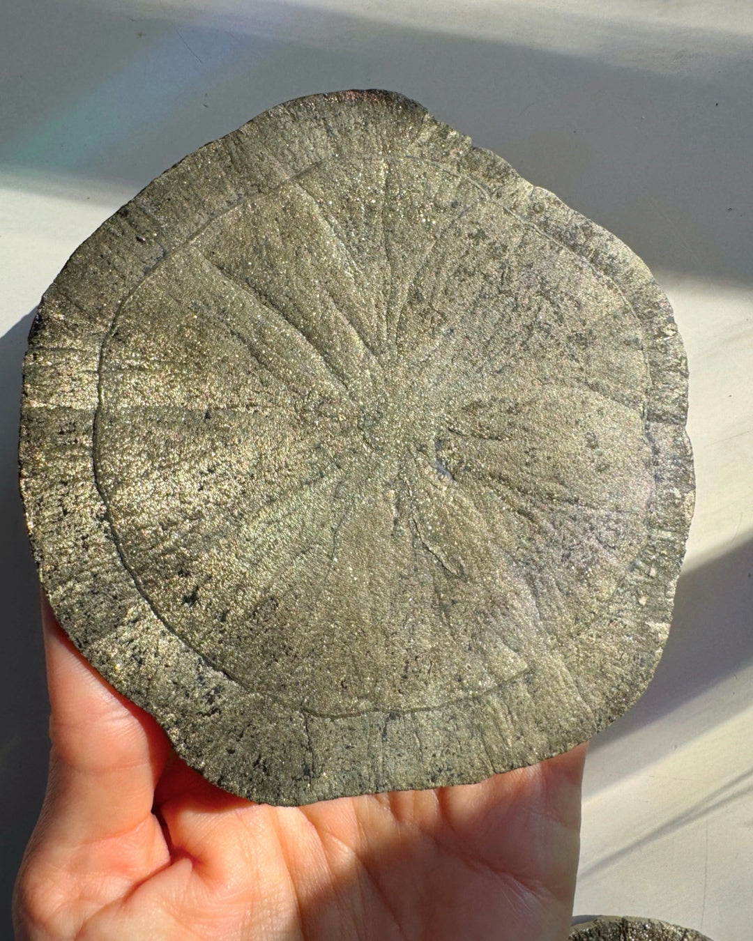 Pyrite Sun - Baltic Mermaid