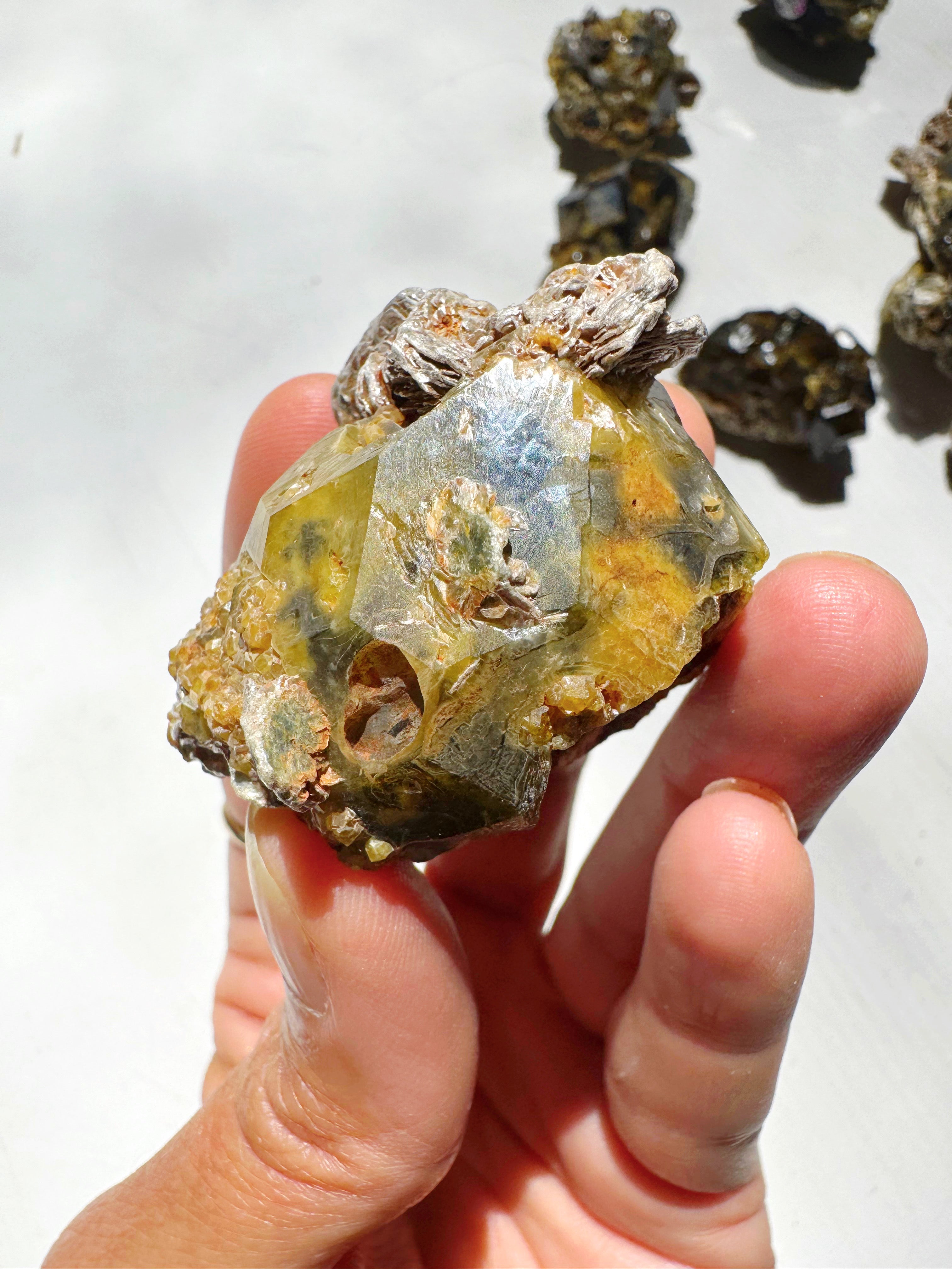 Rare Mali Green Grossular Andradite Garnet w/ Clinochlore AAA Quality Baltic Mermaid
