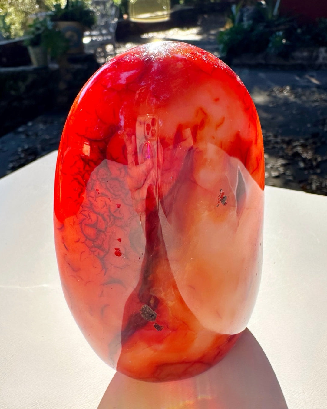 Carnelian Agate Freeform