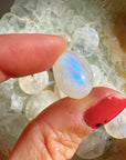 Rainbow Moonstone Polished Stones - AAA