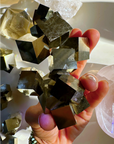 Pyrite Cube Cluster - AAA