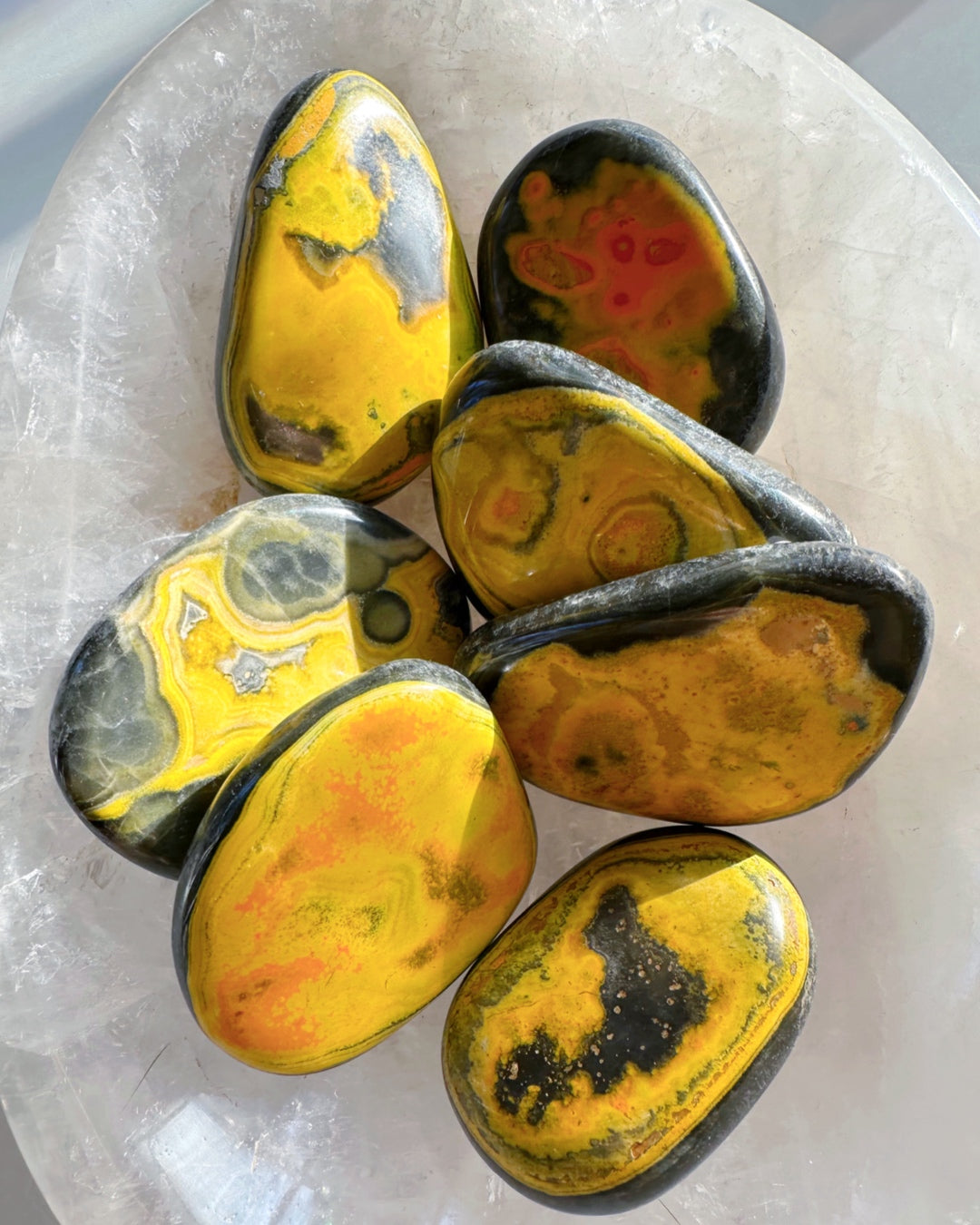 Bumblebee Jasper Palm Stones