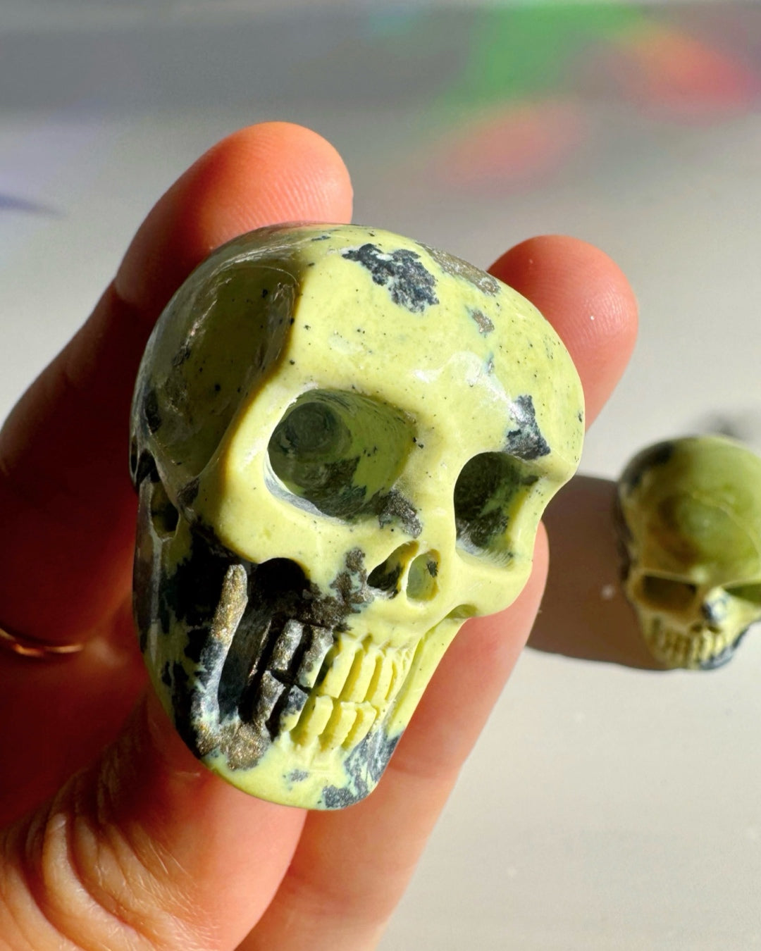 Serpentine Skull - Baltic Mermaid