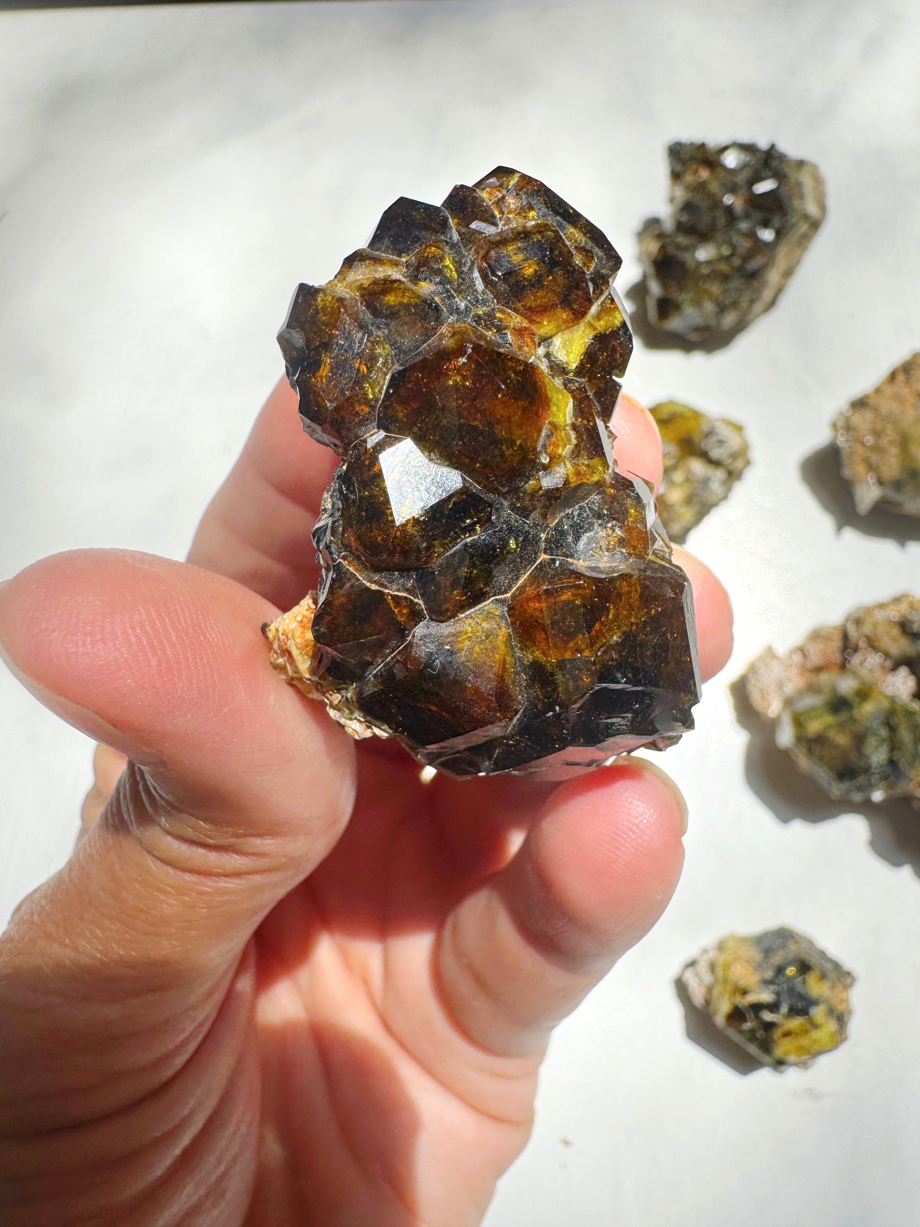 Rare Mali Green Grossular Andradite Garnet Epimorph w/ Clinochlore AAA Quality Baltic Mermaid