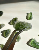 Chlum Moldavite #8 - AA - Baltic Mermaid