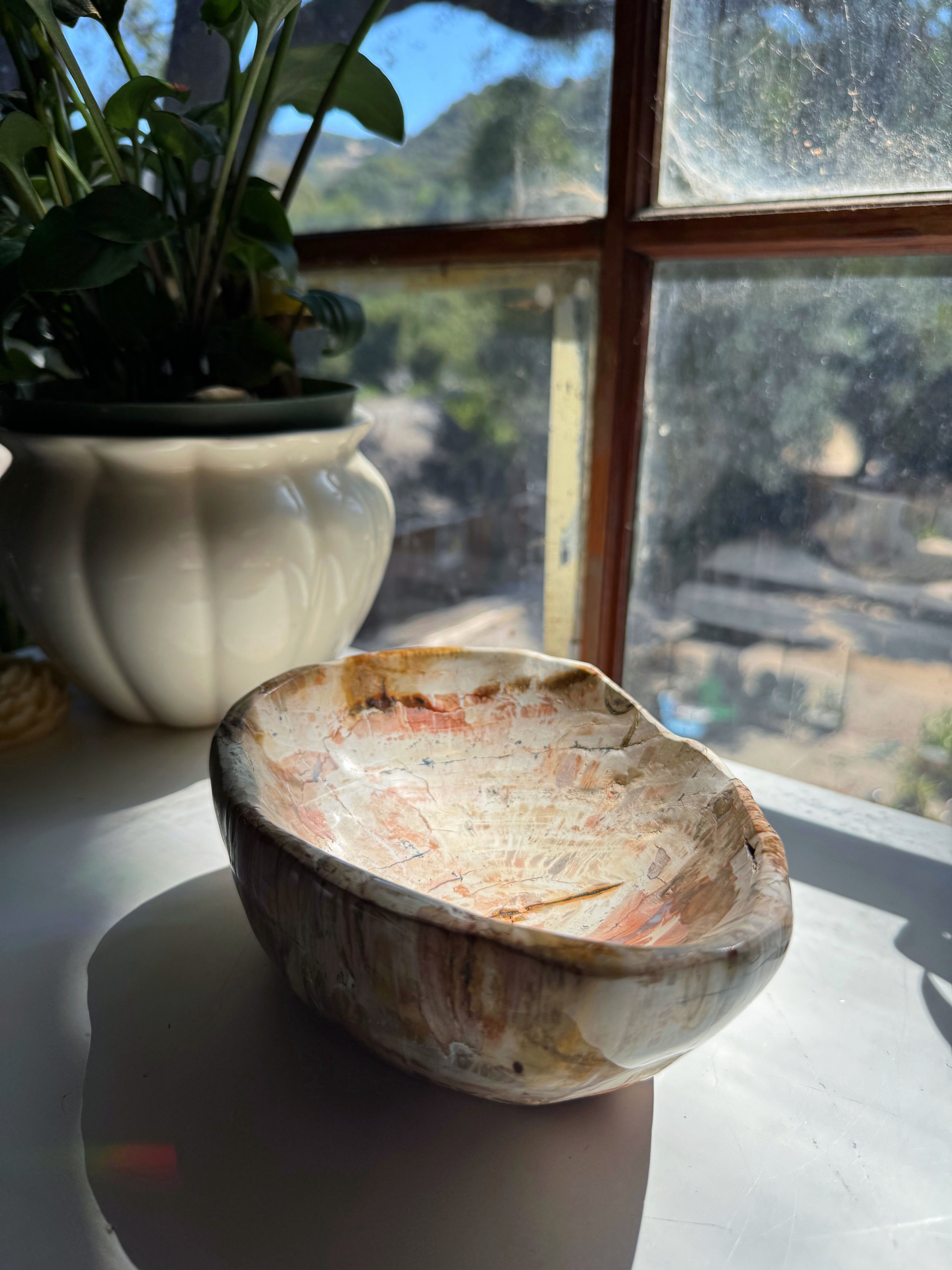 Petrified Wood Bowl Baltic Mermaid