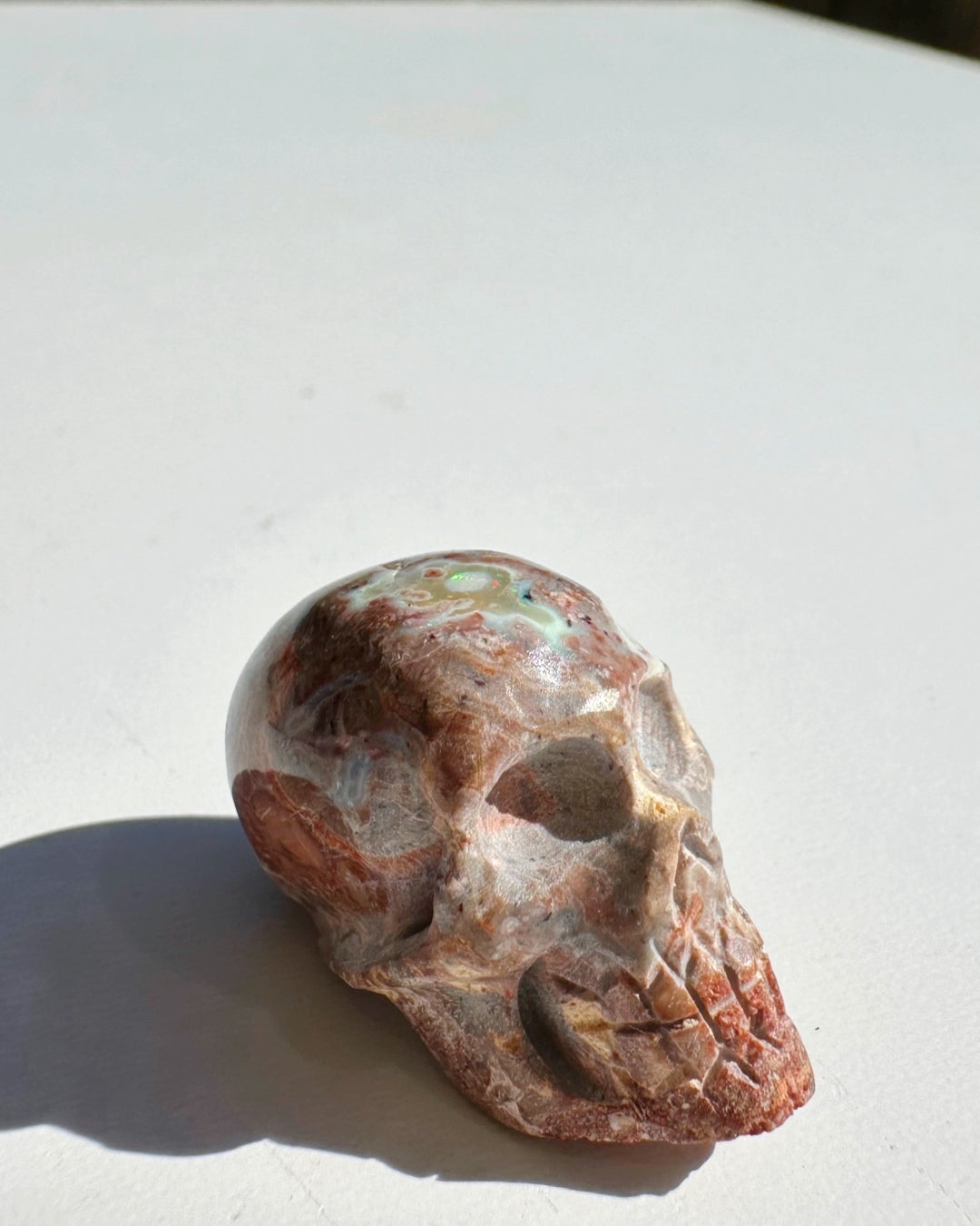 Cantera Opal Skull - Baltic Mermaid