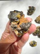 Rare Mali Green Grossular Andradite Garnet Epimorph w/ Clinochlore AAA Quality Baltic Mermaid