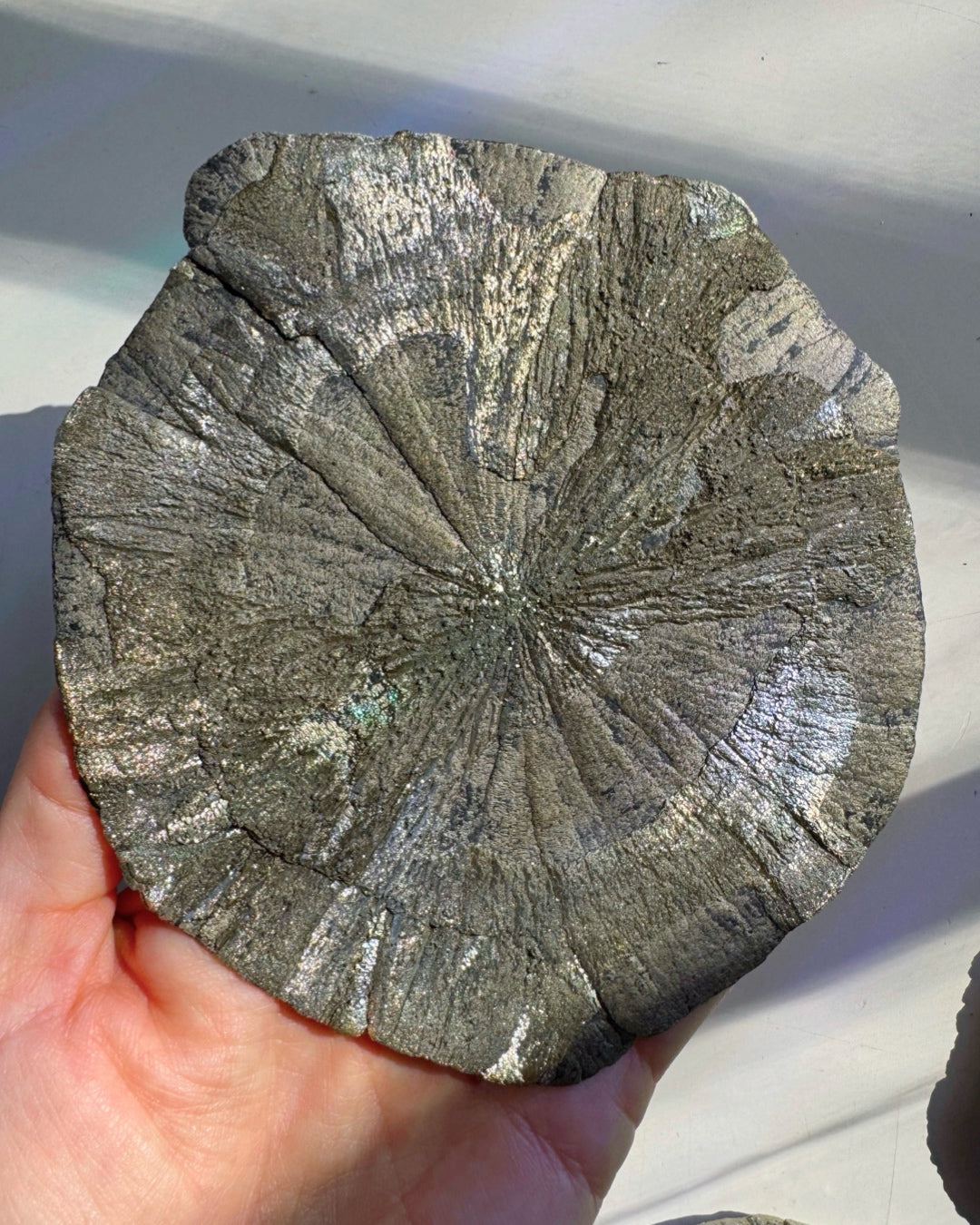 Pyrite Sun - Baltic Mermaid