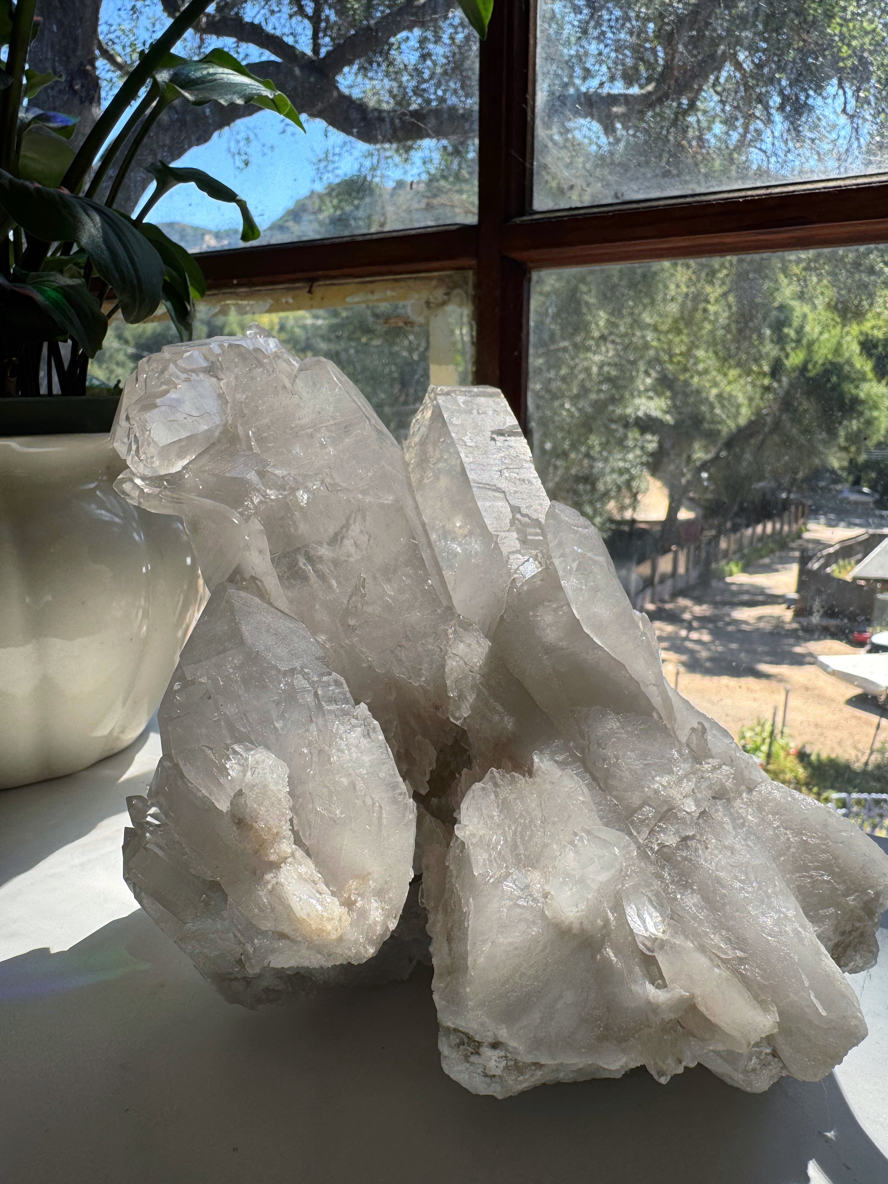 Large Rutilated Lemurian Quartz Cluster from Brazil Baltic Mermaid