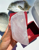 Rose Quartz Dish - Baltic Mermaid