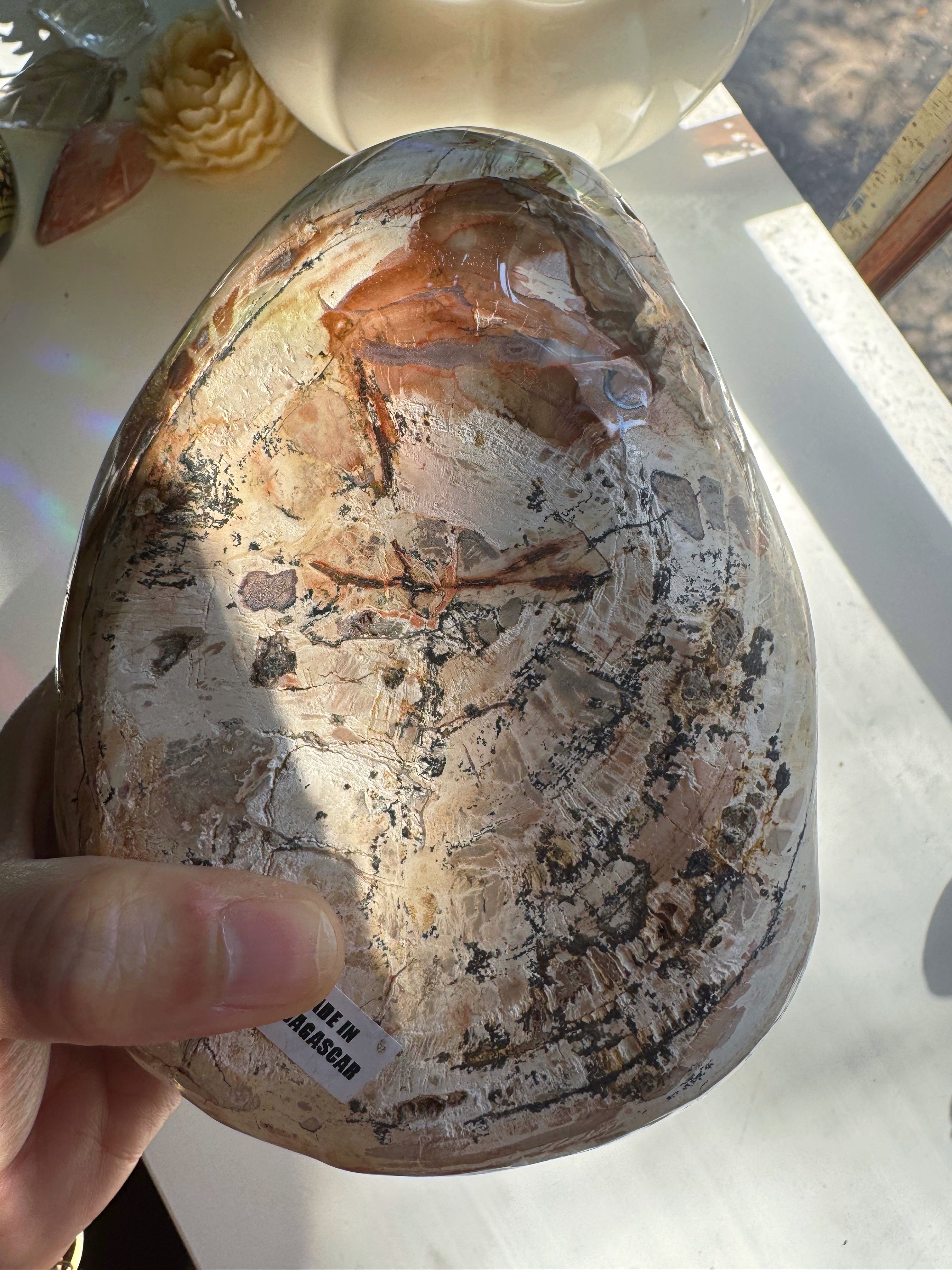 Petrified Wood Bowl Baltic Mermaid