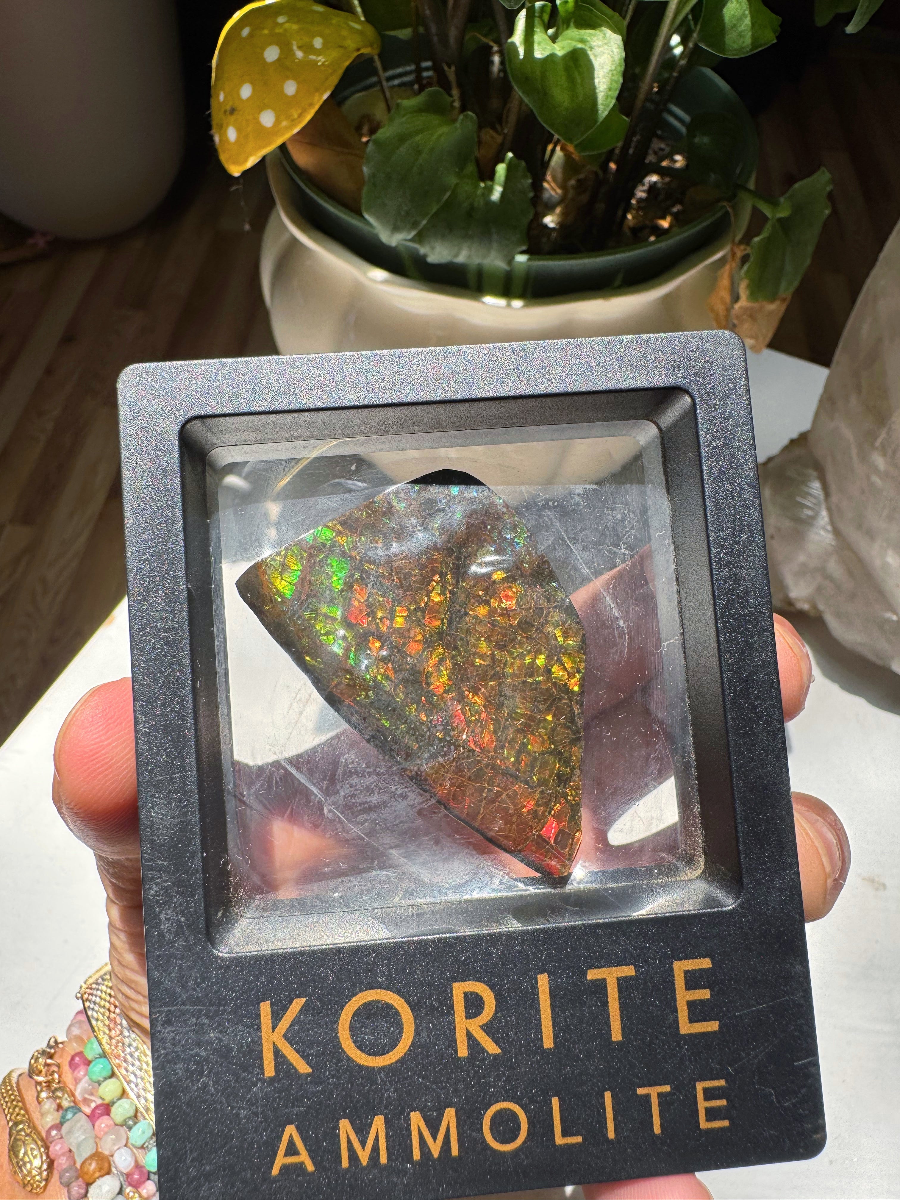 Ammolite Gemstone Hand Specimen Baltic Mermaid