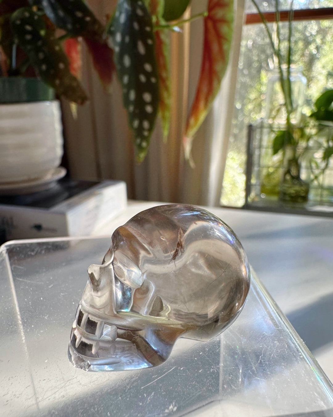 Smoky Quartz Skull - 2