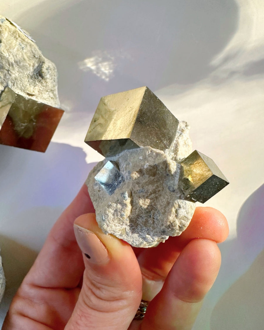 Pyrite Cubes in Matrix - AA