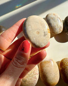 Fossil Coral Agate Palm Stones - Baltic Mermaid