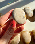 Fossil Coral Agate Palm Stones