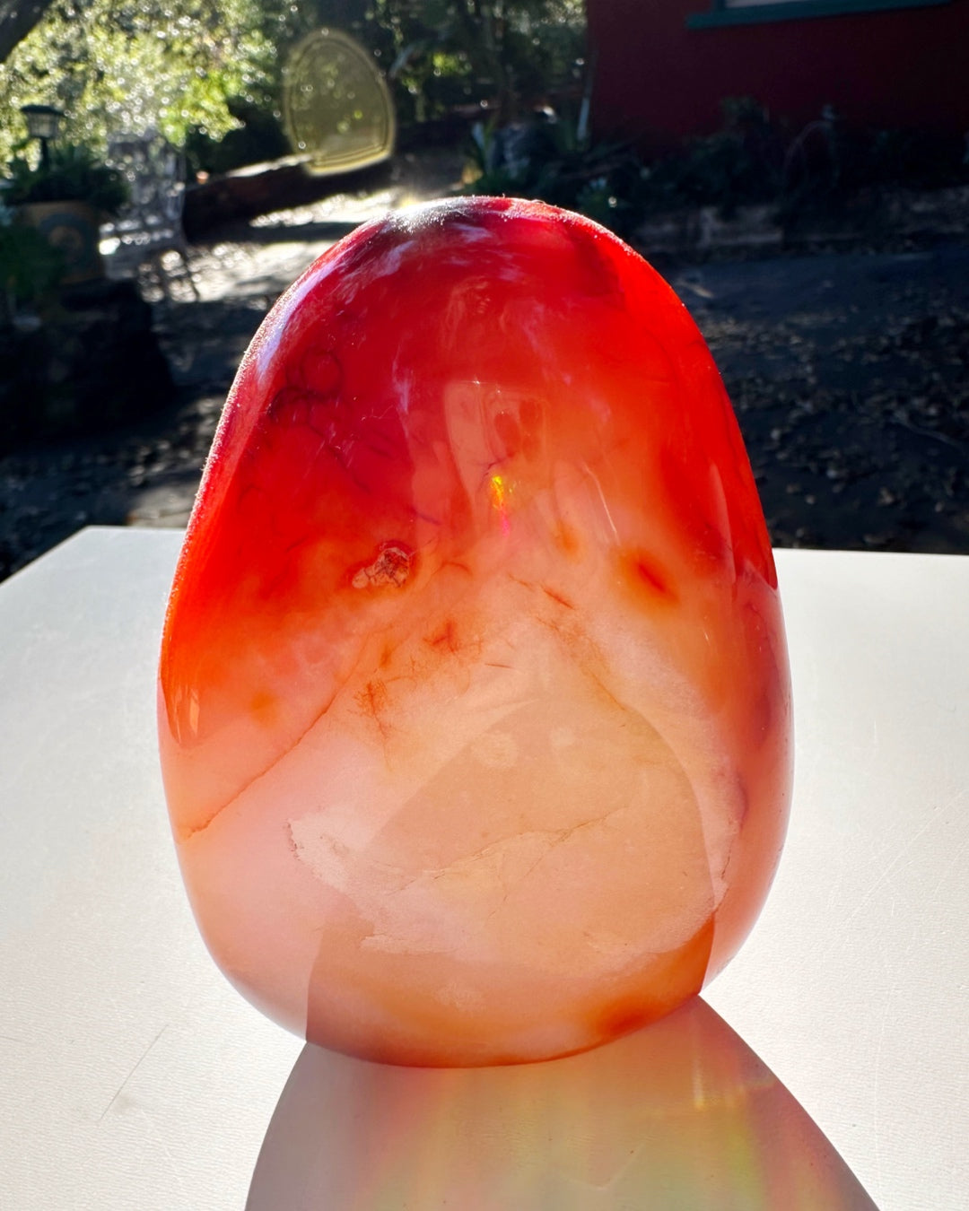 Carnelian Agate Freeform