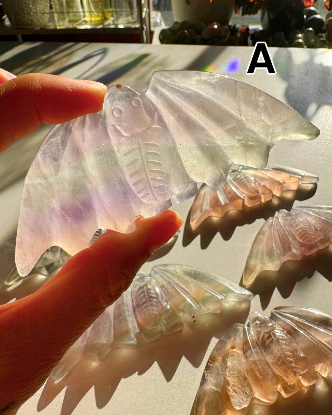 Fluorite Bats - Baltic Mermaid