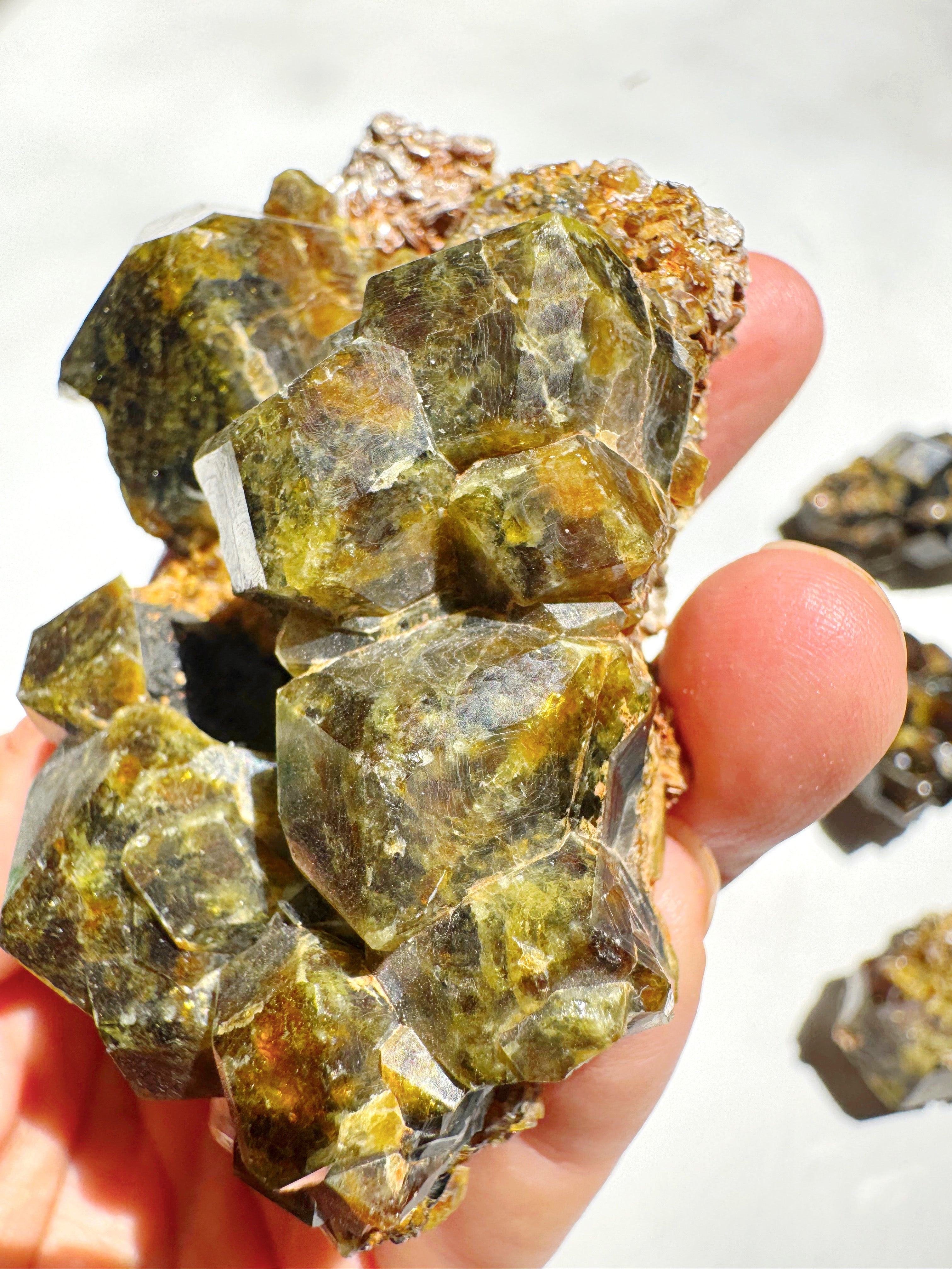 Rare Mali Green Grossular Andradite Garnet w/ Clinochlore AAA Quality Baltic Mermaid