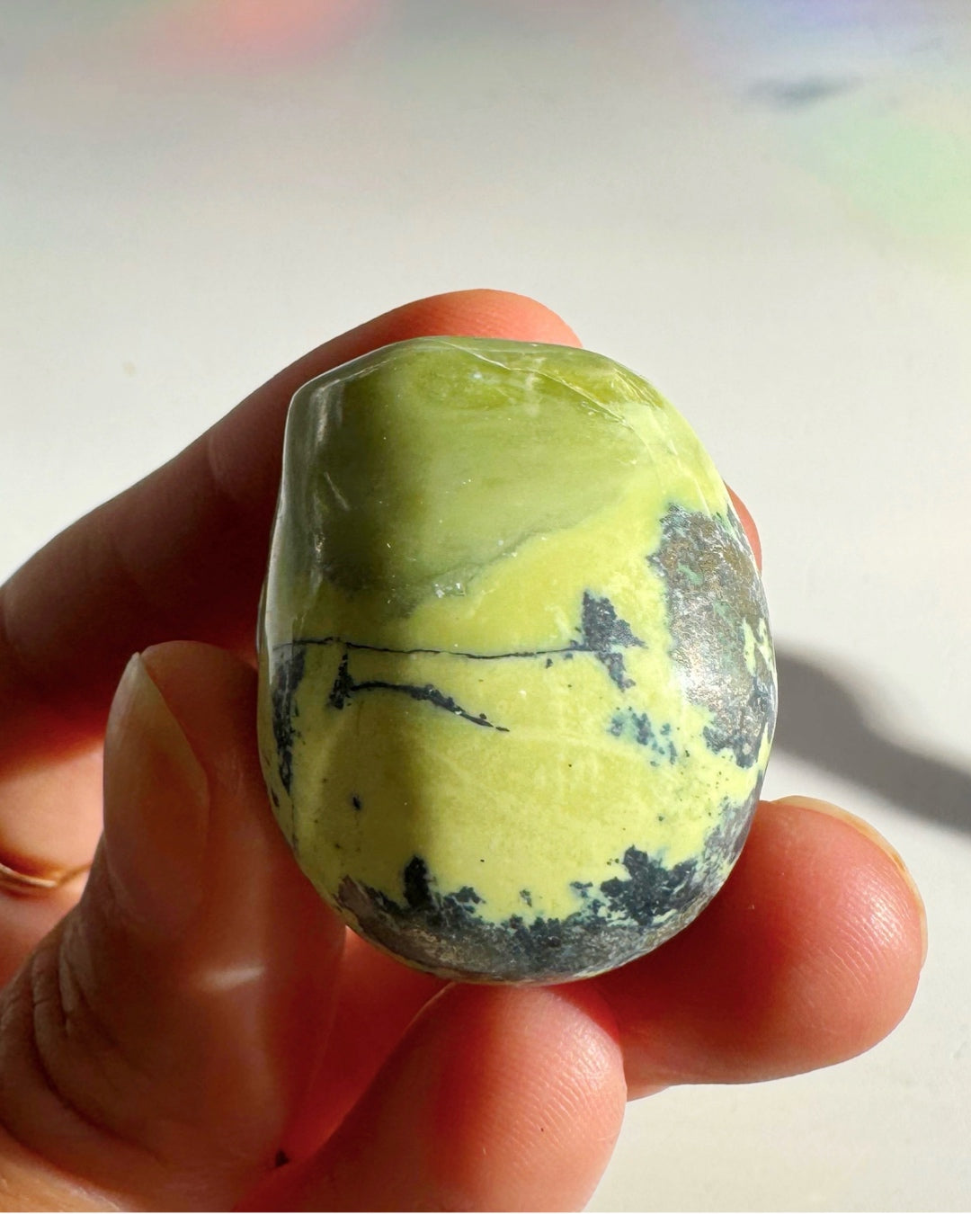 Serpentine Skull - Baltic Mermaid