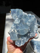 Celestite Cluster Baltic Mermaid