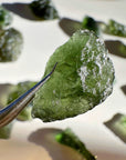 Chlum Moldavite  