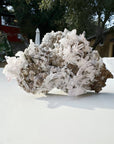 Veracruz Amethyst Cluster