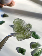Chlum Moldavite #6 - AA - Baltic Mermaid