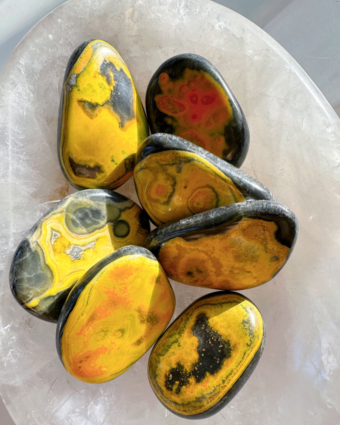 Bumblebee Jasper Palm Stones