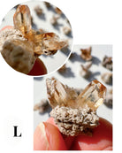 Natural Topaz from Zacatecas, Mexico - Baltic Mermaid