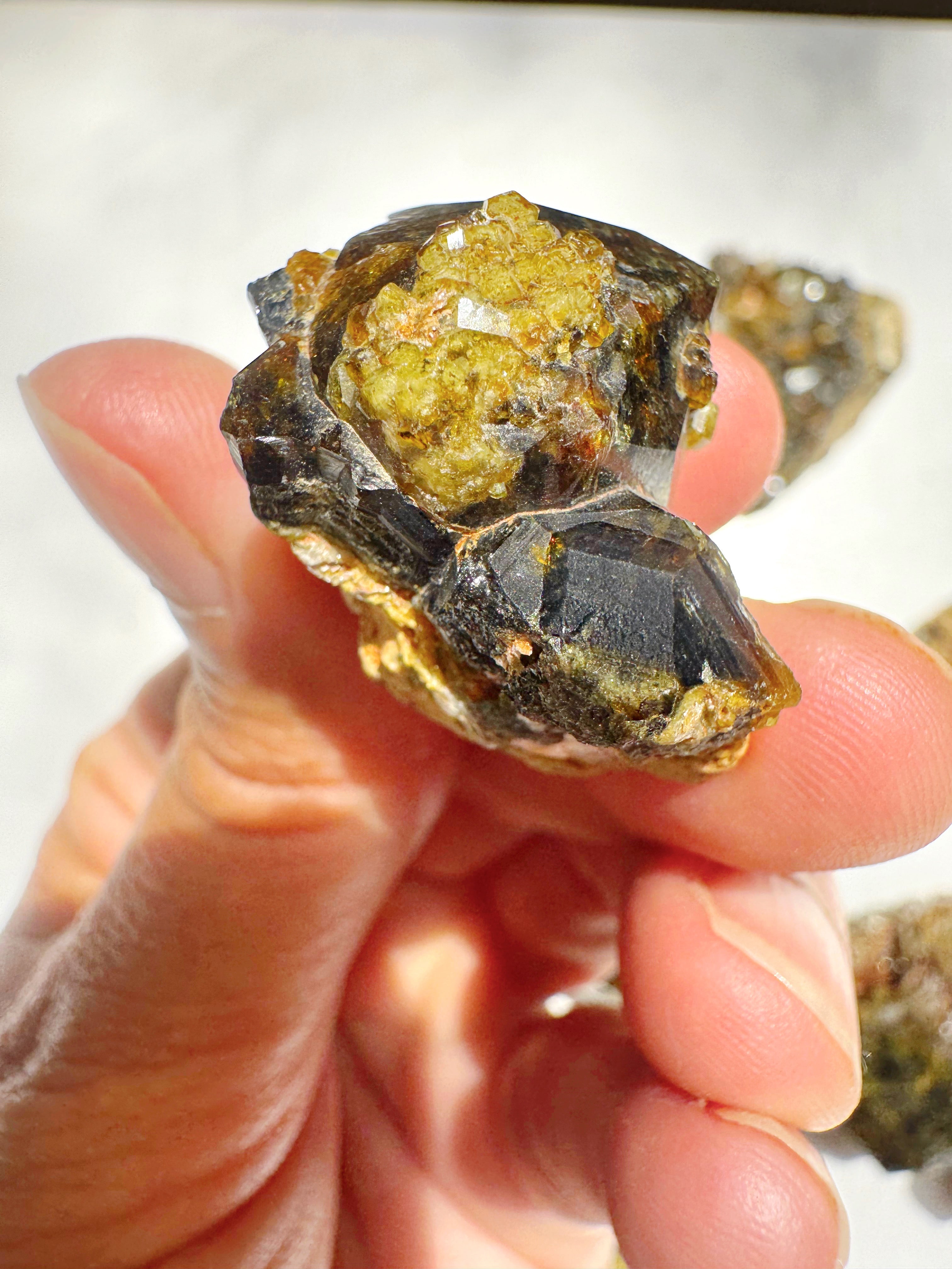 Rare Mali Green Grossular Andradite Garnet w/ Clinochlore AAA Quality Baltic Mermaid
