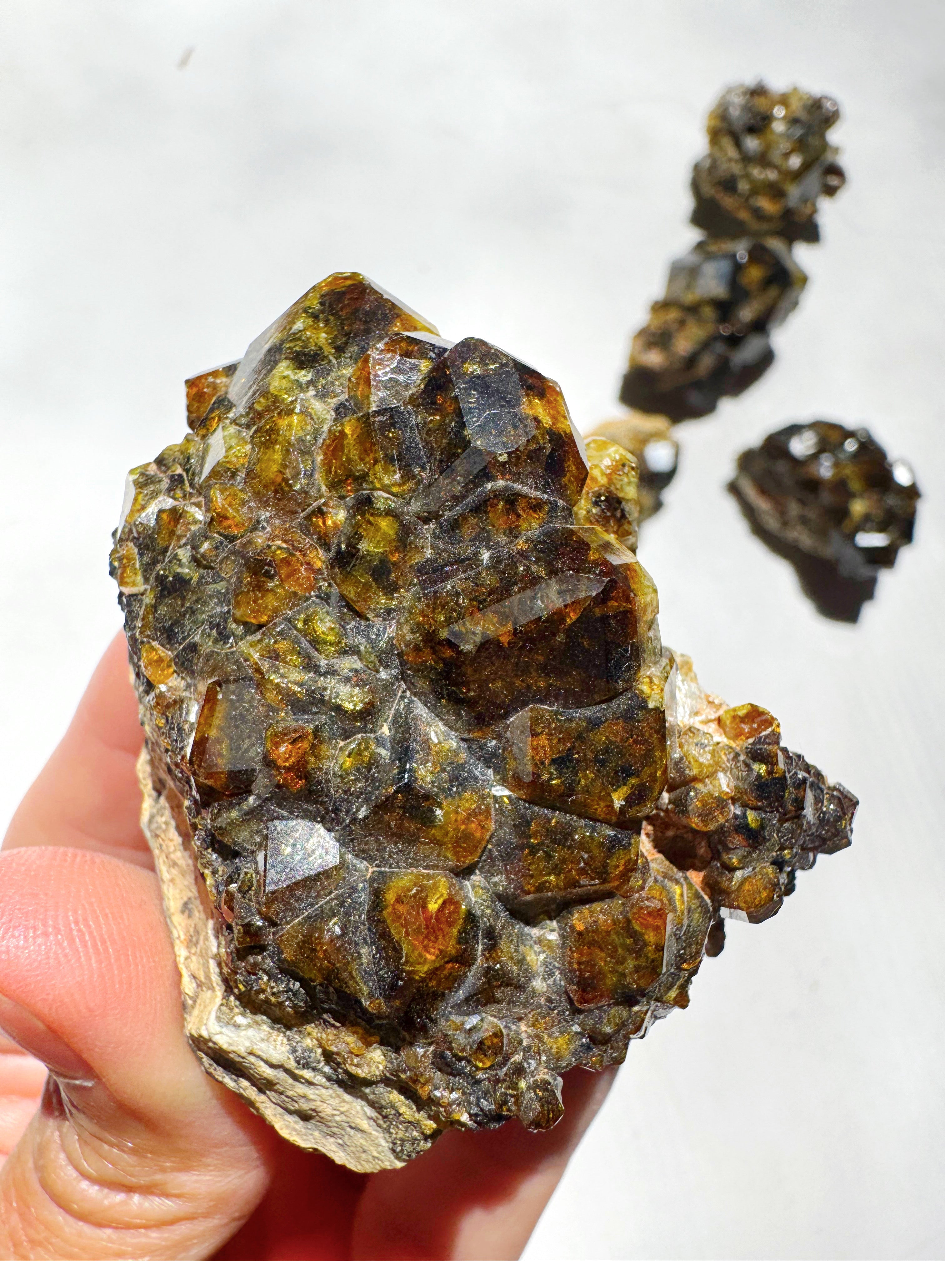 Rare Mali Green Grossular Andradite Garnet w/ Clinochlore AAA Quality Baltic Mermaid