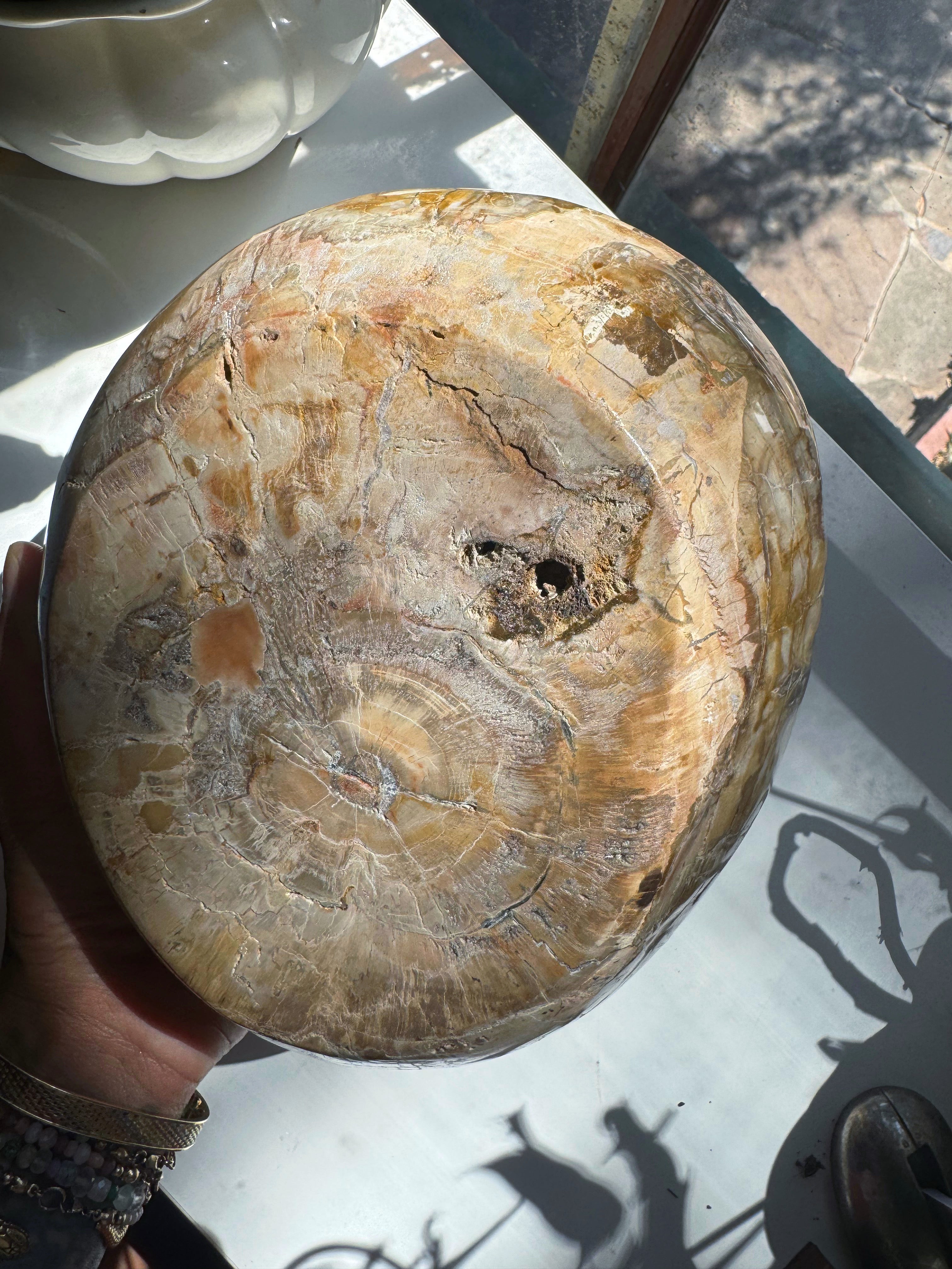 Large Petrified Wood Bowl Baltic Mermaid