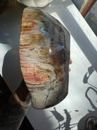 Petrified Wood Bowl Baltic Mermaid