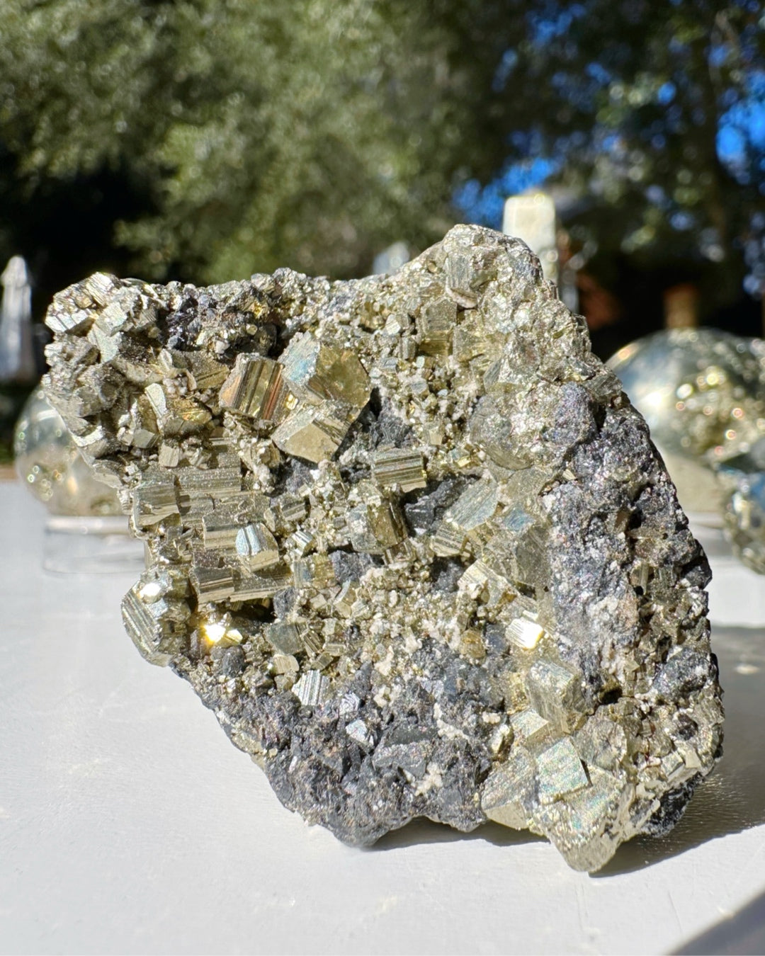 Pyrite Cluster - Baltic Mermaid