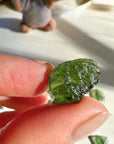 Chlum Moldavite  