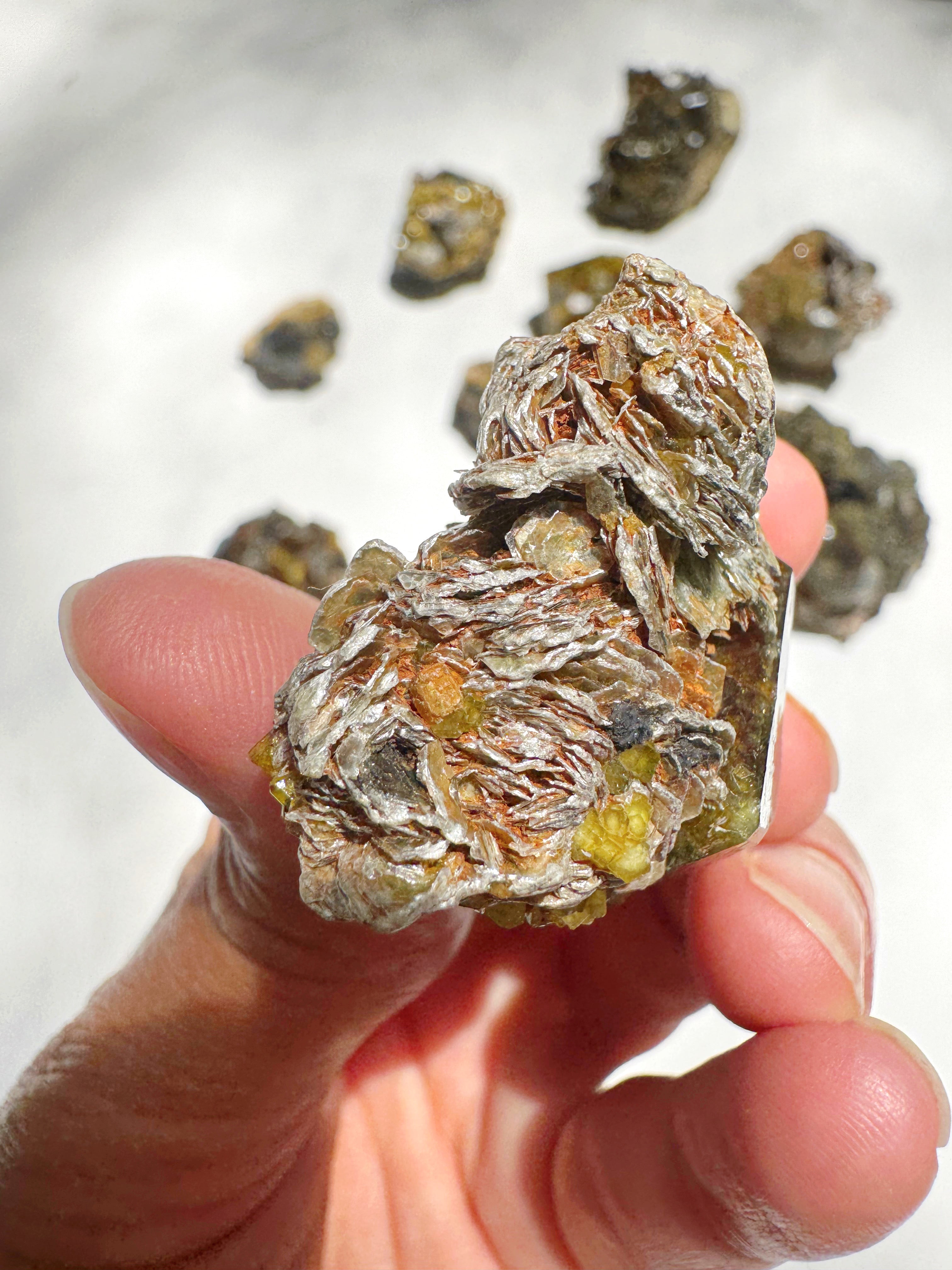 Rare Mali Green Grossular Andradite Garnet w/ Clinochlore AAA Quality Baltic Mermaid
