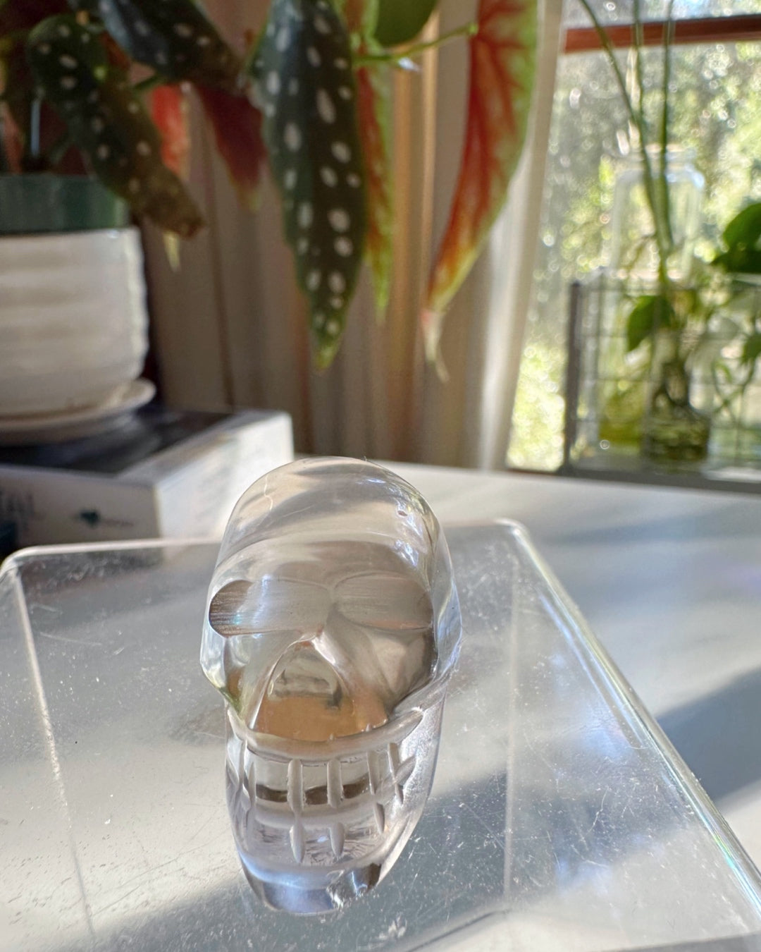 Smoky Quartz Skull - 2