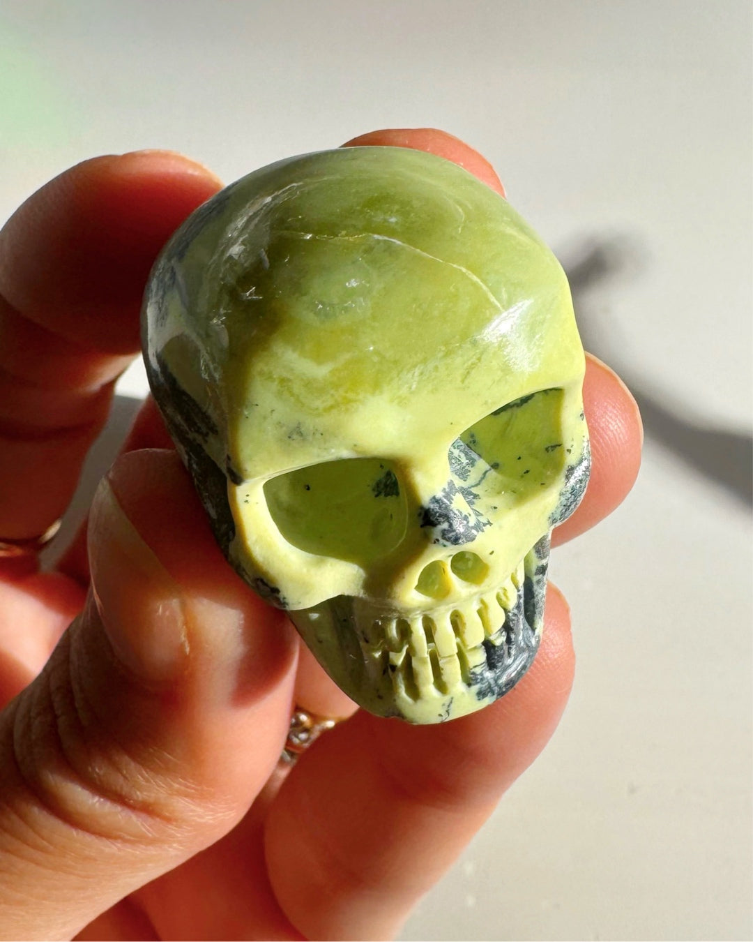 Serpentine Skull - Baltic Mermaid