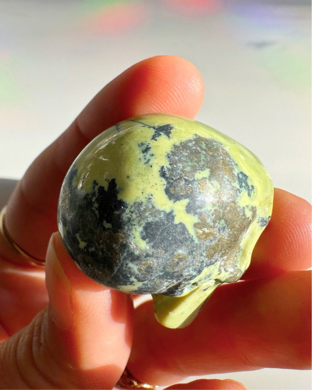 Serpentine Skull - Baltic Mermaid